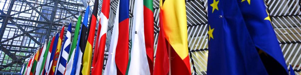 EU members flags