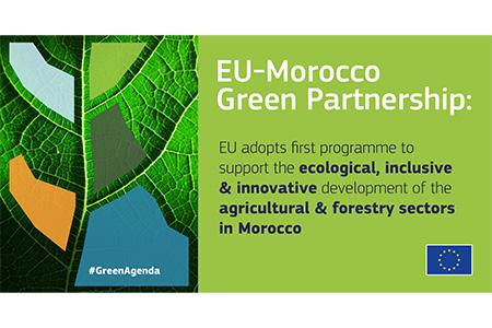 EU-Morocco Green Partnership