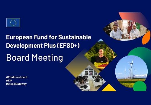 EFSDplus-board_meeting-1