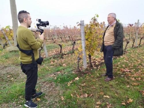 Supporting Romania’s wine industry