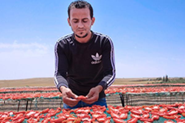 Majdi al Akhdar, Agri-food business owner (Tunisia). EUIFI beneficiary, EBRD
